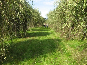 Wiederhold Garten Langerwisch Foto Brandt